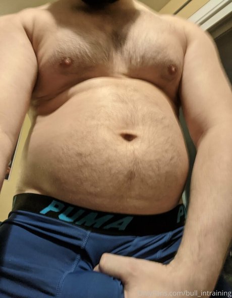 bull intraining xxx model archive