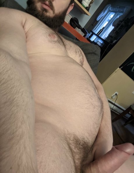 bull intraining star beautiful picture