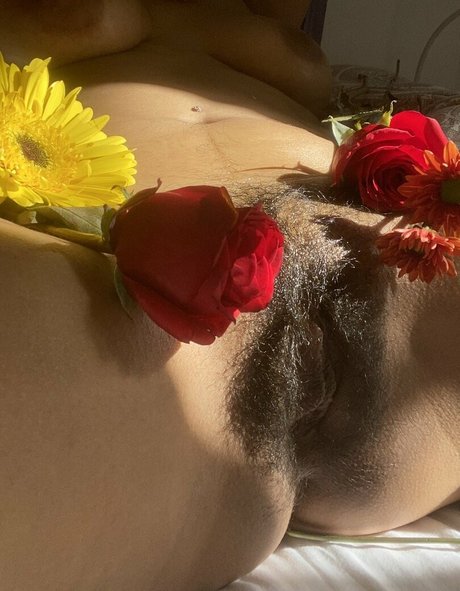 Droolydog art star pic