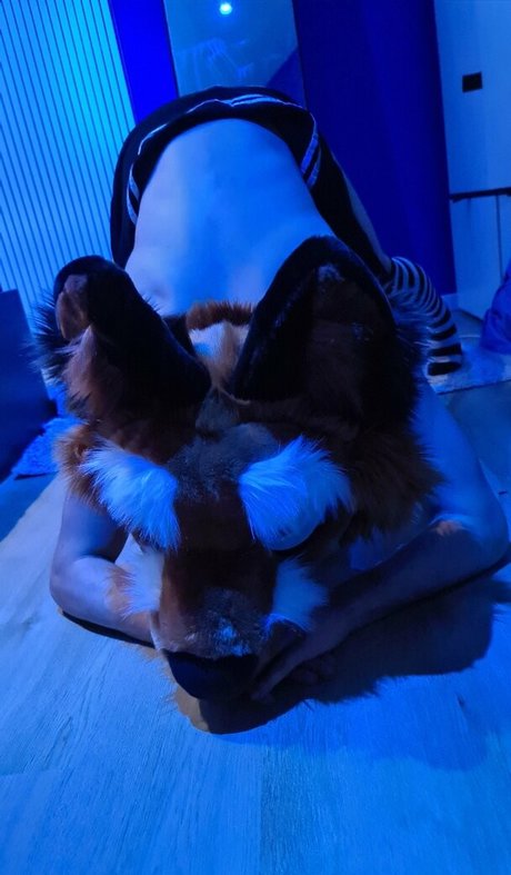 matthewfoxbe star img