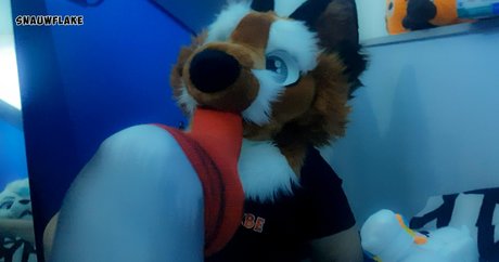 matthewfoxbe pornstar nudes pictures