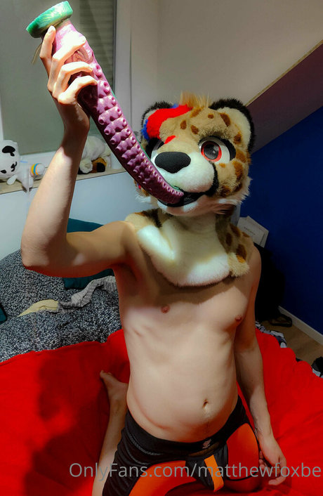 matthewfoxbe free pornstar img