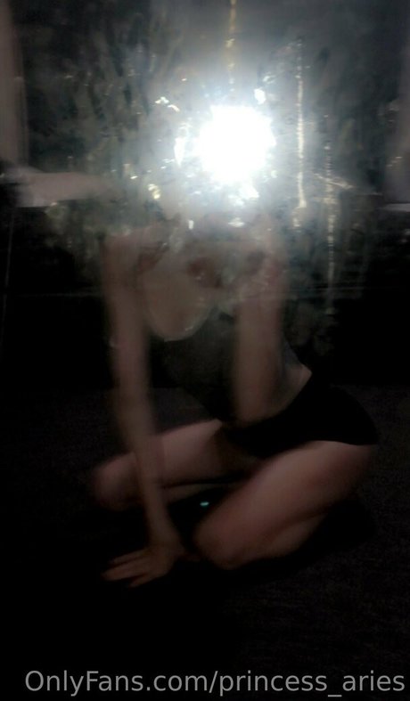 princess aries pornstar art images