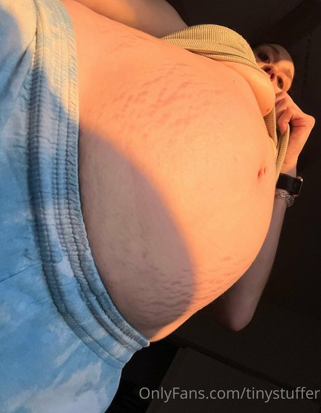 tinystuffer nice pornstar galleries