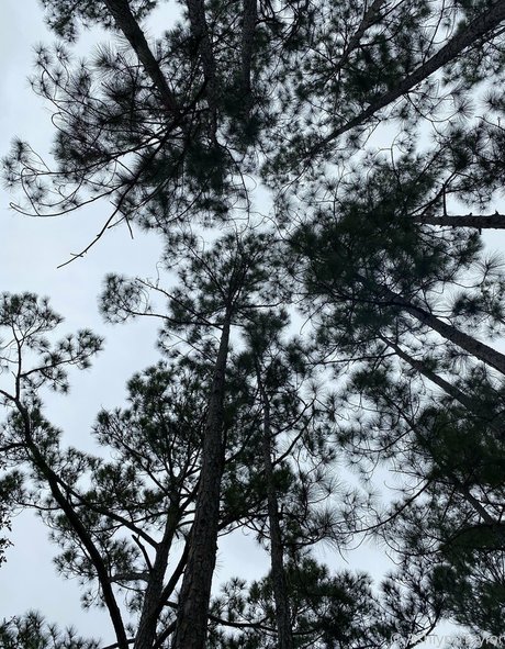 missashlynn nice actress image