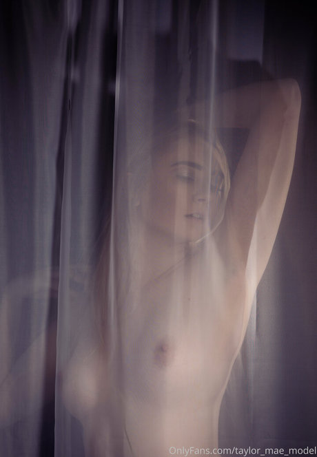 taylor mae model star erotic galleries