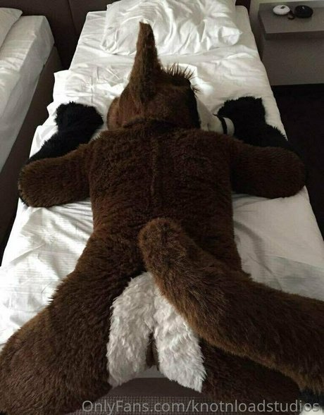 knotnloadstudios art pornstar archive