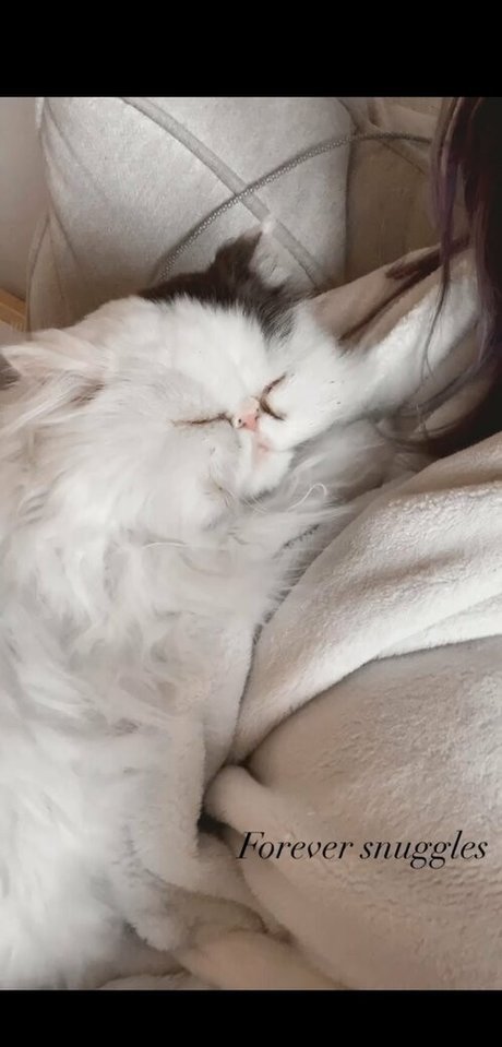 sweetcarolineee perfect actress img