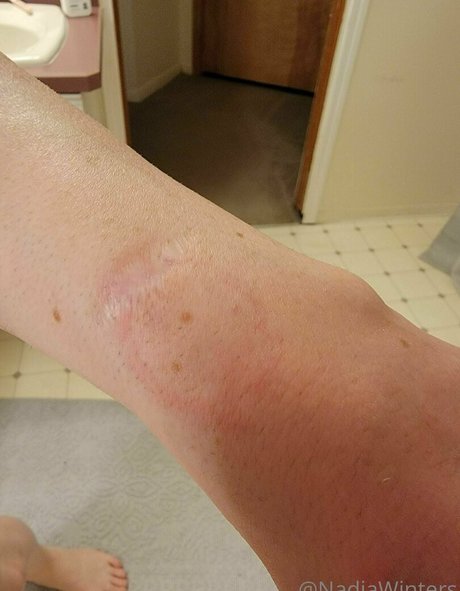 nadjawinters model img