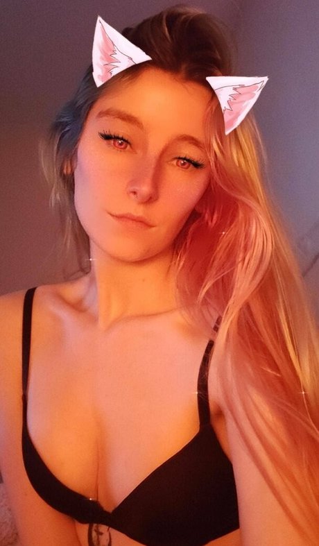 cinnabun12 star high quality archive