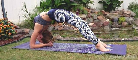 pocketrobbin perfect star images