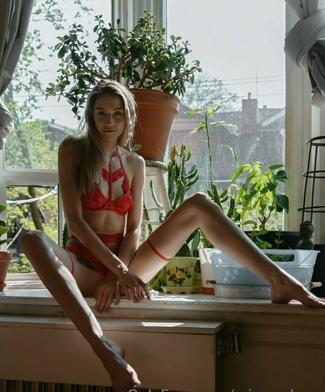 missarchers pornographic star img