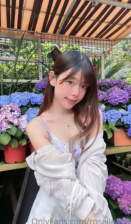 roselle888 pretty star images