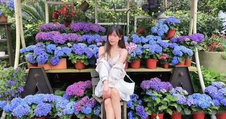 roselle888 top actress images