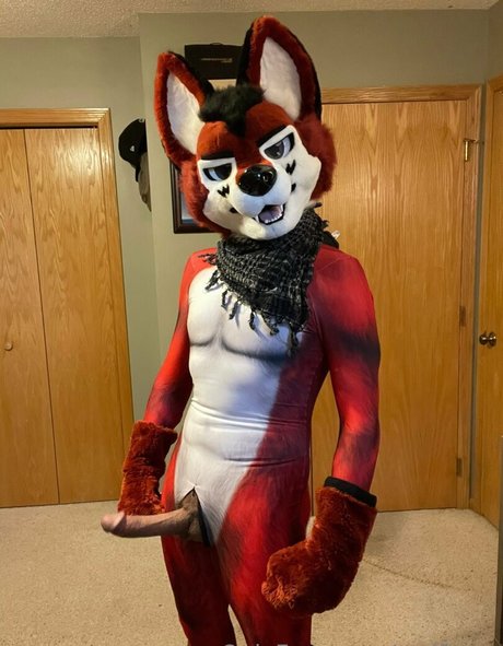 wolf ezo best star image