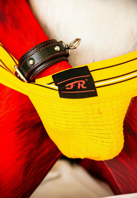 wolf ezo star art photo