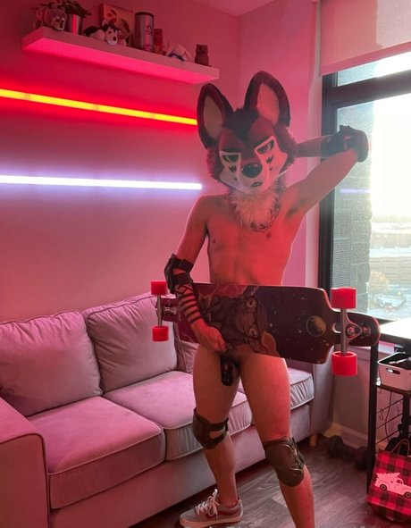 wolf ezo model top pic