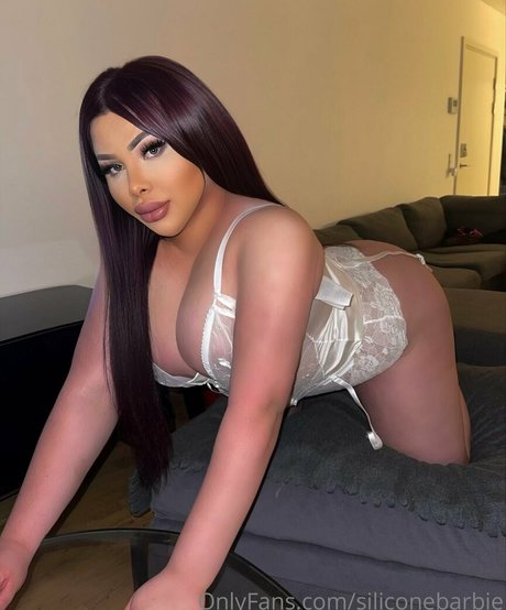 siliconebarbie adult star galleries