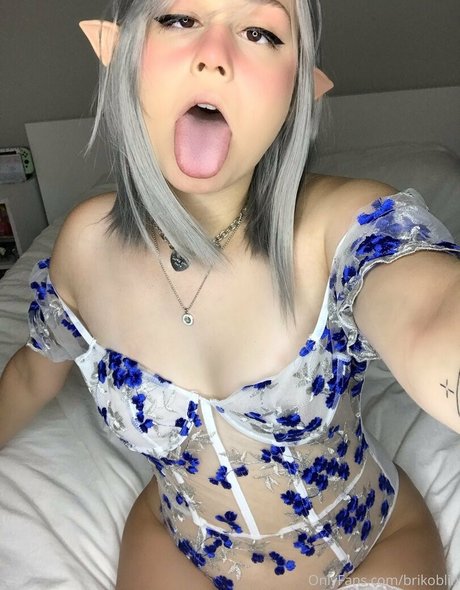 brikoblin perfect model archive