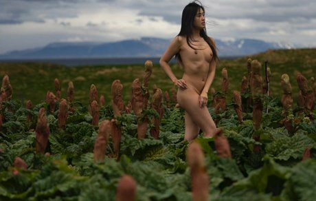 Stephanie Pham nude model archive