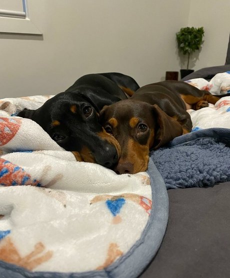 Jayme Lee art model galleries