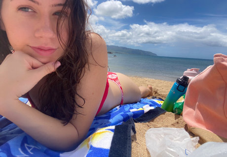 Ultralitbeamx top model picture