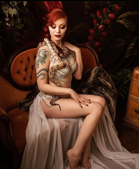 dragondez101 pretty pornstar img