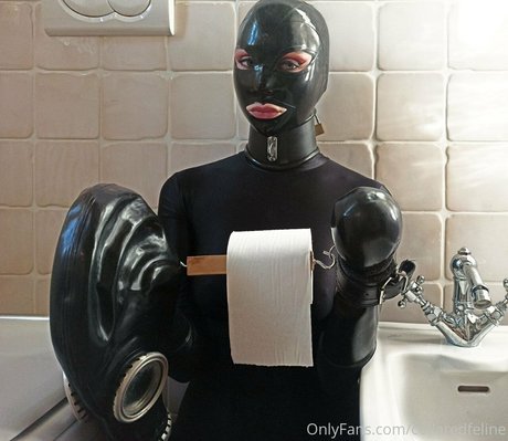 collaredfeline pornographic star pic