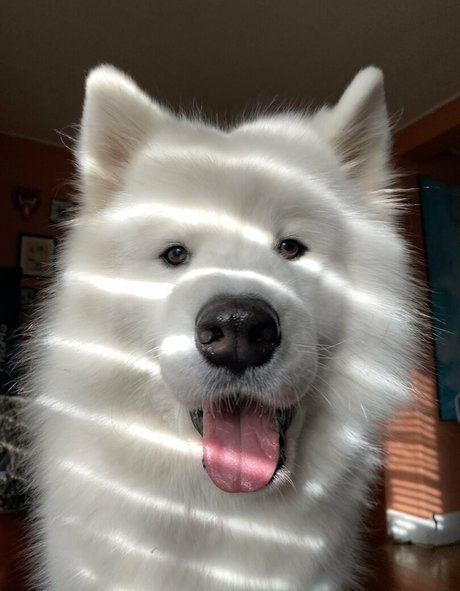 loandthecosmos2 naked pornstar pictures