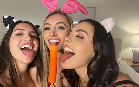 kendalklein xxx star image