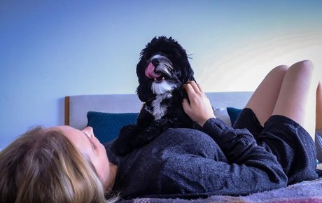 Eliza Taylor top pornstar image