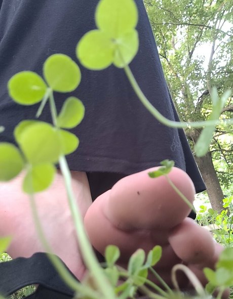 maemerciless star nice pictures