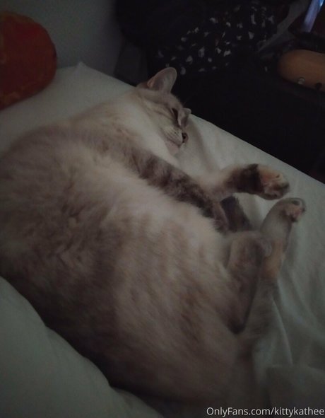 kittykathee pornstar pretty galleries