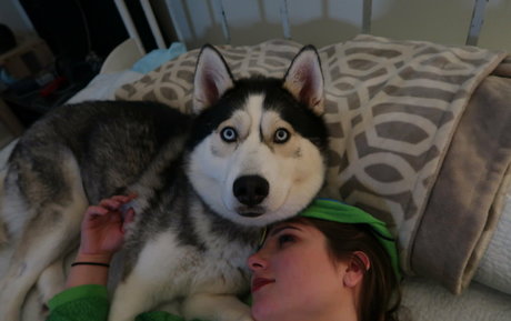 jane fern porn model images