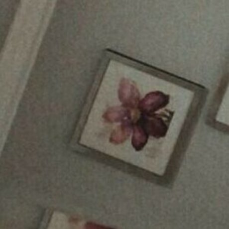 Kittenjojo18 perfect pornstar image