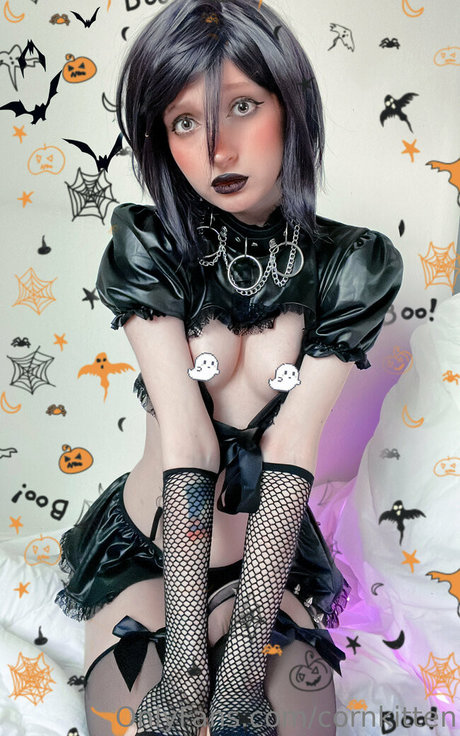 cornkitten star top pictures