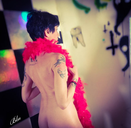 Blue Domino73 model perfect picture