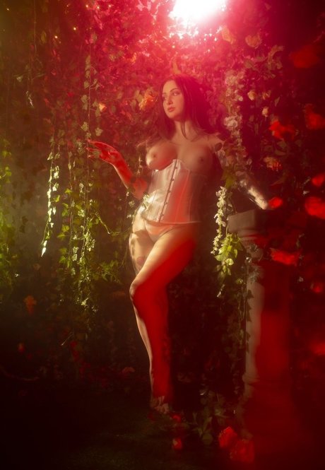 shemale outdoor onlyfans erotic img