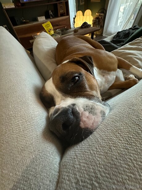 Thesexyvegan pornstar xxx pic