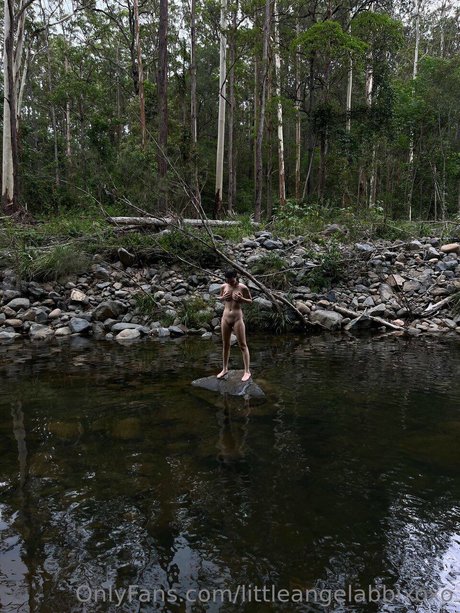 Little angel abbi nice star pictures