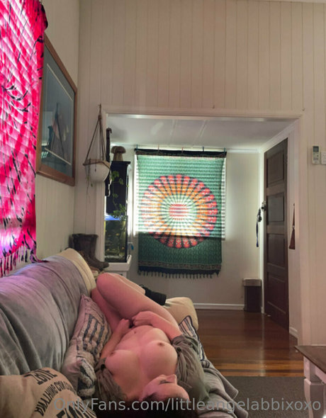 Little angel abbi pornstar beautiful archive