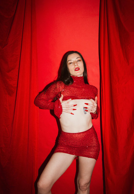 Stoya porn star img