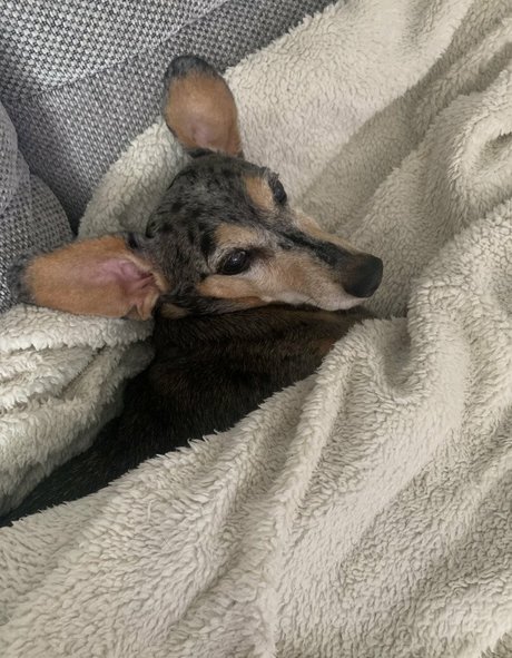 Sophia Knight model pretty photos