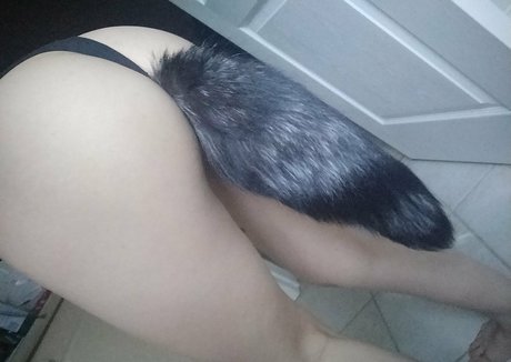 Meowieantoinette beautiful star picture