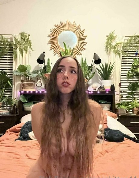 Space kitten44 star art picture