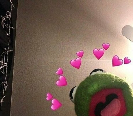 neon paws adult star image