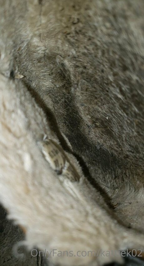 workout onlyfans xxx photos