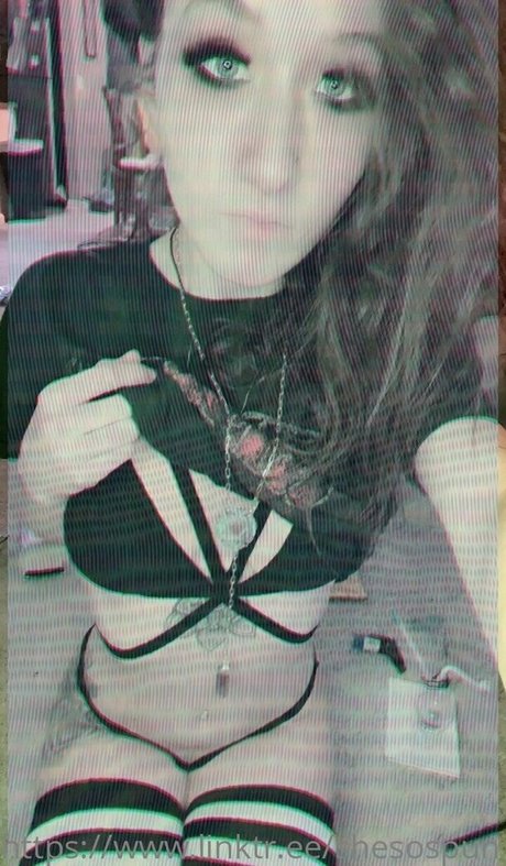 spunbunny pornographic star pics