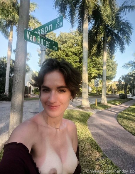 handsy bb top model img