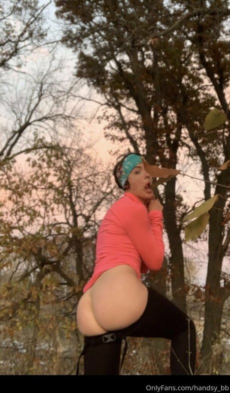 handsy bb model top pic